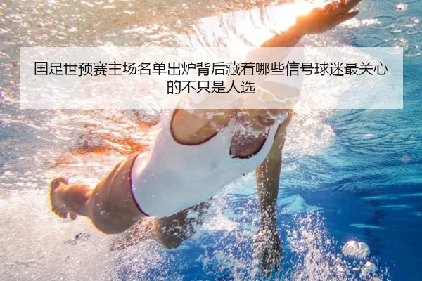 国足世预赛主场名单出炉背后藏着哪些信号球迷最关心的不只是人选